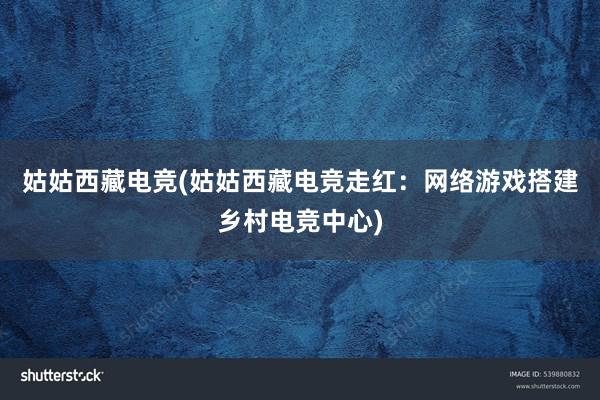 姑姑西藏电竞(姑姑西藏电竞走红：网络游戏搭建乡村电竞中心)