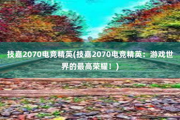 技嘉2070电竞精英(技嘉2070电竞精英：游戏世界的最高荣耀！)