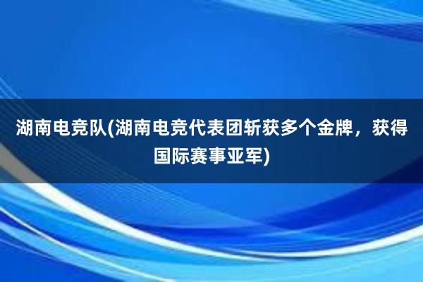 湖南电竞队(湖南电竞代表团斩获多个金牌，获得国际赛事亚军)