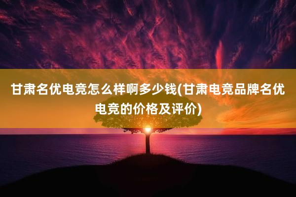 甘肃名优电竞怎么样啊多少钱(甘肃电竞品牌名优电竞的价格及评价)