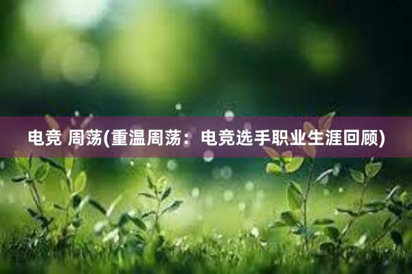 电竞 周荡(重温周荡：电竞选手职业生涯回顾)