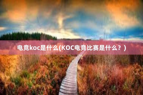 电竞koc是什么(KOC电竞比赛是什么？)