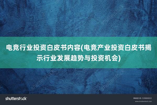 电竞行业投资白皮书内容(电竞产业投资白皮书揭示行业发展趋势与投资机会)