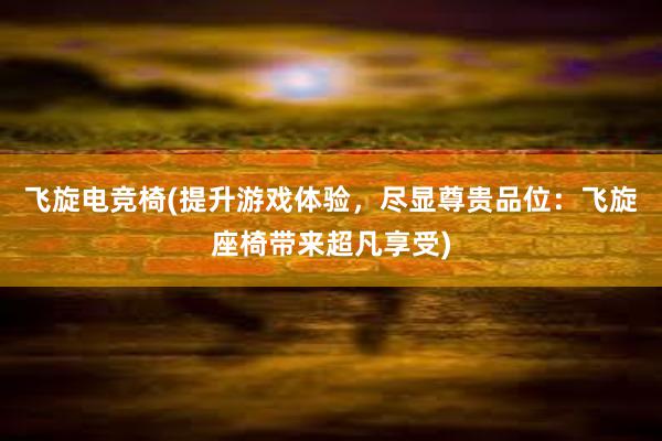 飞旋电竞椅(提升游戏体验，尽显尊贵品位：飞旋座椅带来超凡享受)