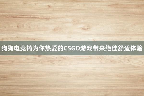 狗狗电竞椅为你热爱的CSGO游戏带来绝佳舒适体验