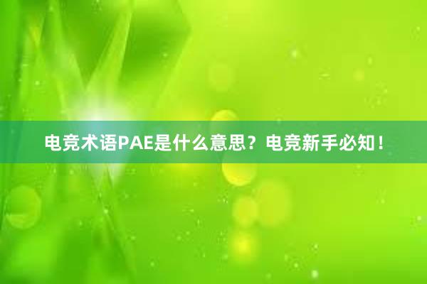 电竞术语PAE是什么意思？电竞新手必知！