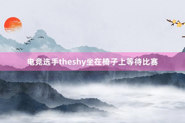 电竞选手theshy坐在椅子上等待比赛