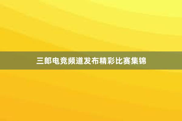 三郎电竞频道发布精彩比赛集锦