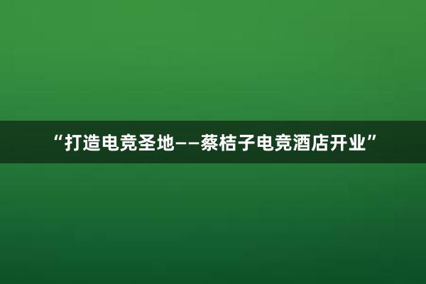 “打造电竞圣地——蔡桔子电竞酒店开业”