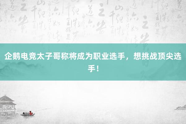 企鹅电竞太子哥称将成为职业选手，想挑战顶尖选手！