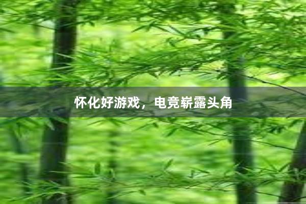 怀化好游戏，电竞崭露头角