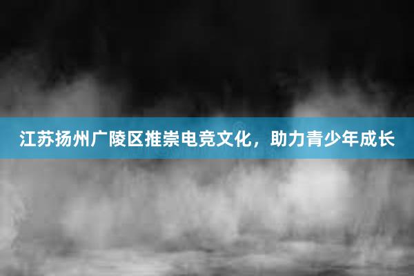 江苏扬州广陵区推崇电竞文化，助力青少年成长