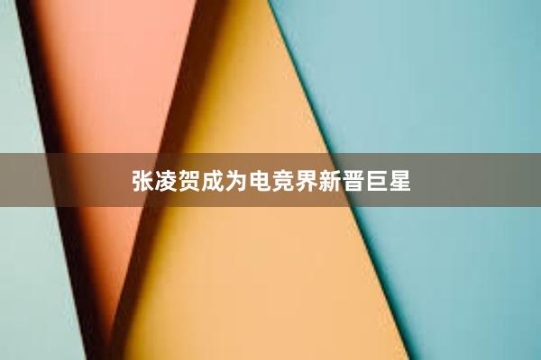 张凌贺成为电竞界新晋巨星