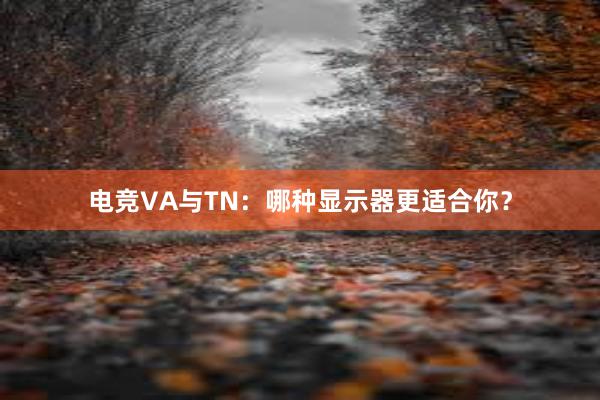 电竞VA与TN：哪种显示器更适合你？