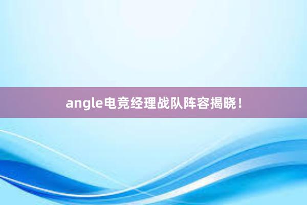 angle电竞经理战队阵容揭晓！