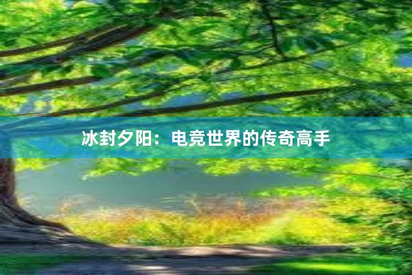 冰封夕阳：电竞世界的传奇高手