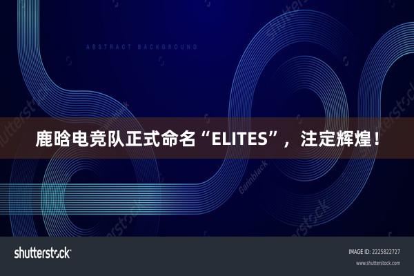 鹿晗电竞队正式命名“ELITES”，注定辉煌！